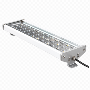 LED Işıklar